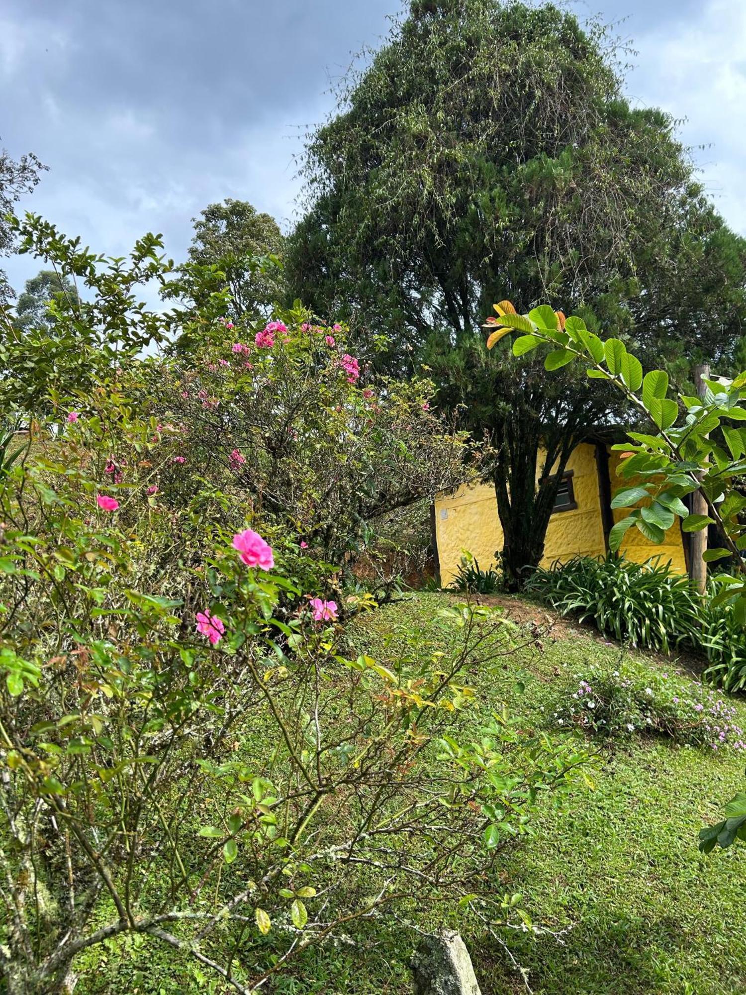 Vale Do Piemonte "Chales " Santo Antônio do Pinhal Exterior photo